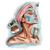 Обличчя